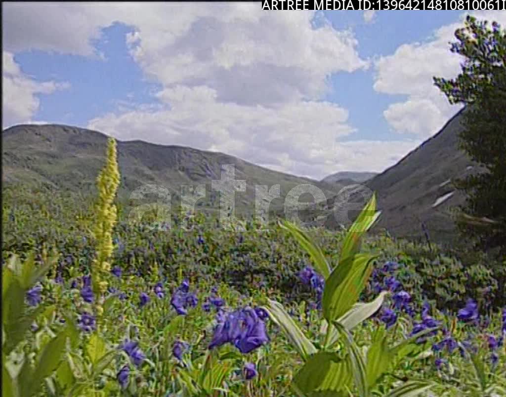 religion,faith,religious belief,organized religion