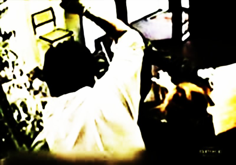 violence,force,ferocity,fierceness,furiousness,fury,vehemence,wildness