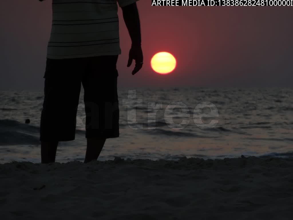 man,adult male,serviceman,military man,military personnel,homo,human being,human,valet,valet de chambre,gentleman,gentleman