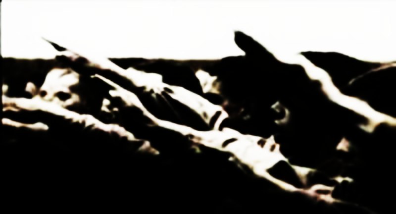 military,armed forces,armed services,military machine,war machine