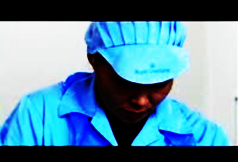 greenland,gronland,kalaallit nunaat