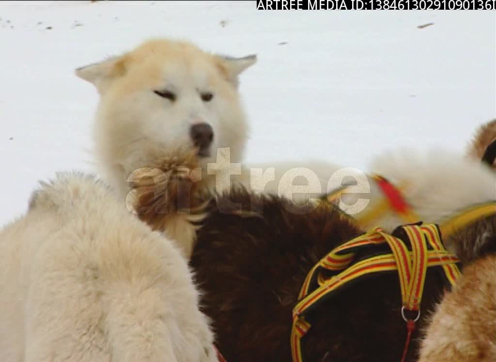 north,northerly,northwards,northward,union,due north,magnetic north,compass north,frederick north,second earl of guilford