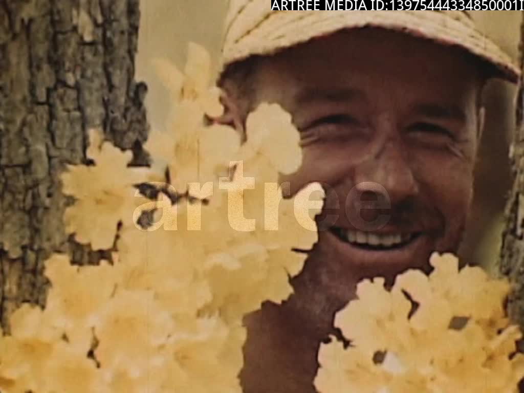 caribbean,caribbean sea