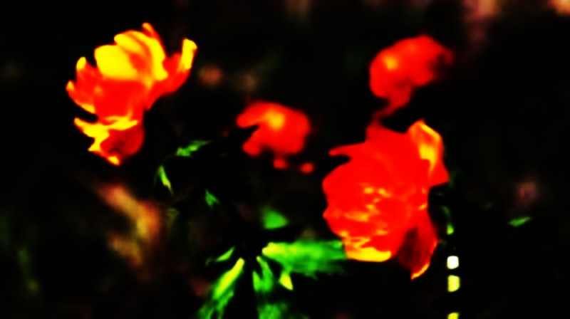 plant,works,industrial plant,flora,plant life,implant,engraft,embed,imbed,establish,found,constitute,institute