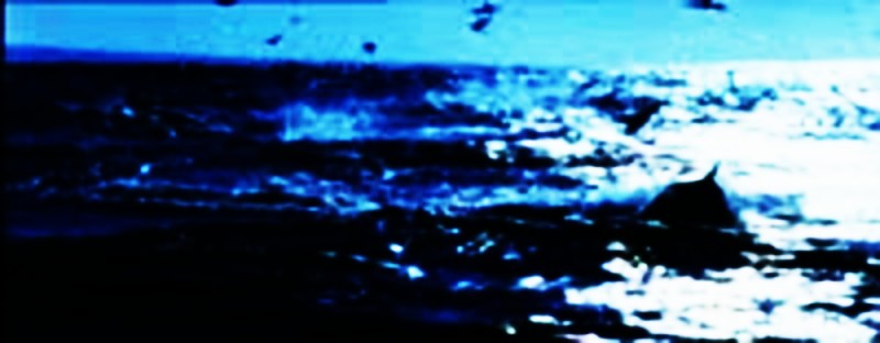 water,body of water,water system,water supply,urine,piss,piddle,weewee,irrigate